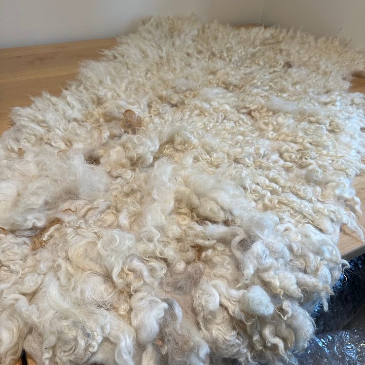 Felted Wool Rug: Archer