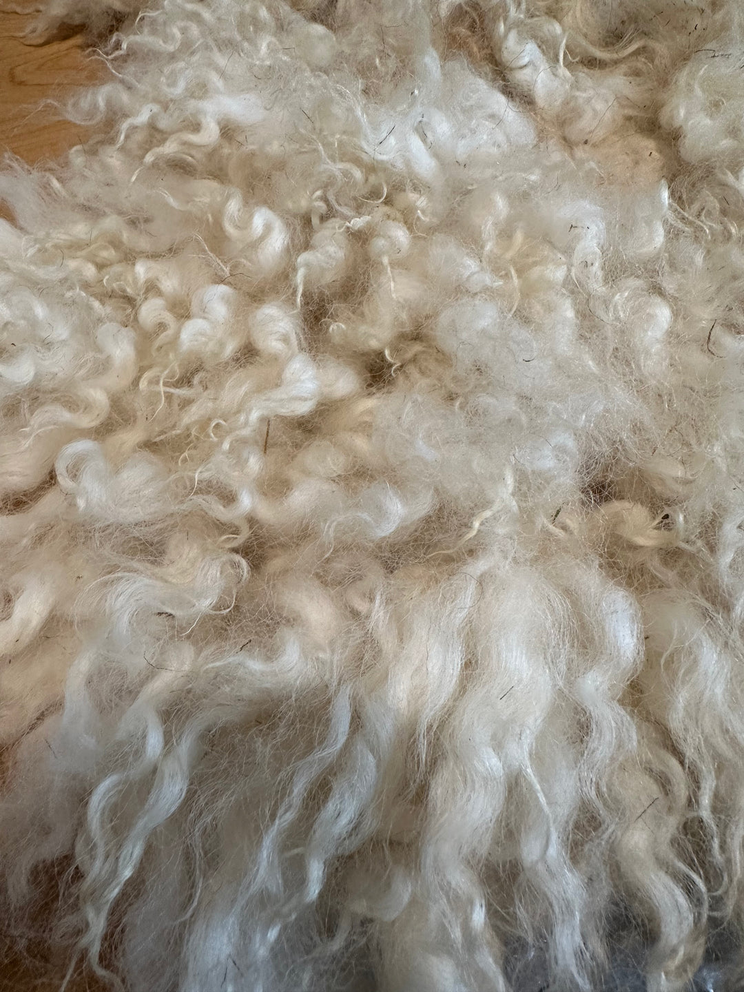 Felted Wool Rug: Archer