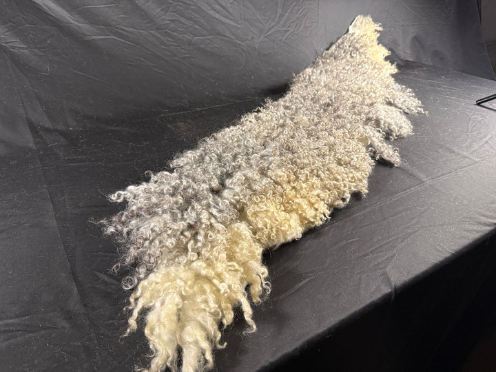 Couch Back Cover (Henry) - Ranch Relaxo Farm