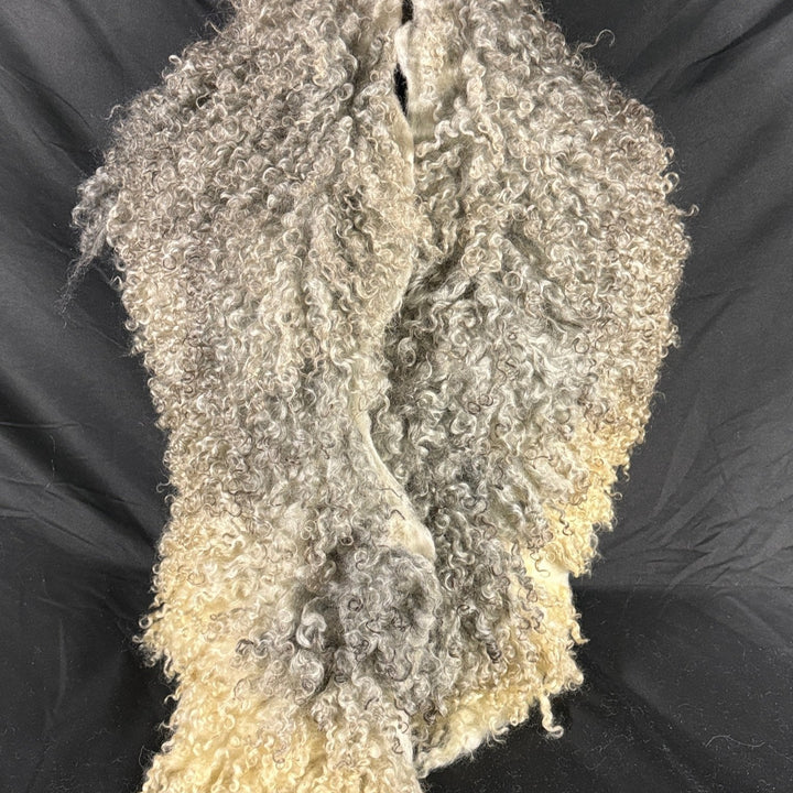 Couch Back Cover (Henry) - Ranch Relaxo Farm