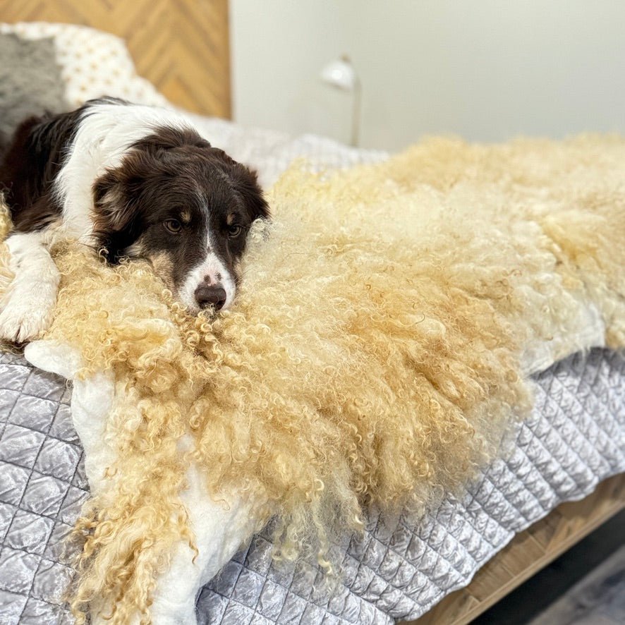 Large Valais Blacknose Throw (Lance) - Heritage Woolworks
