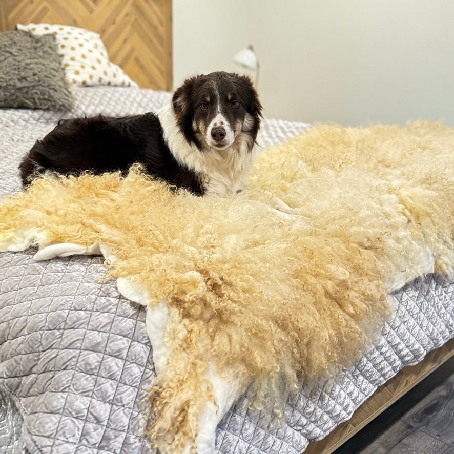 Large Valais Blacknose Throw (Lance) - Heritage Woolworks