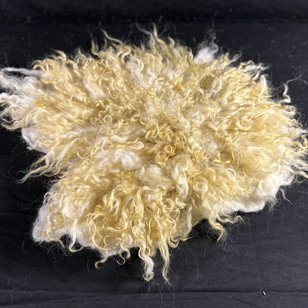 Seat Cover (Bristol) - Heritage Woolworks