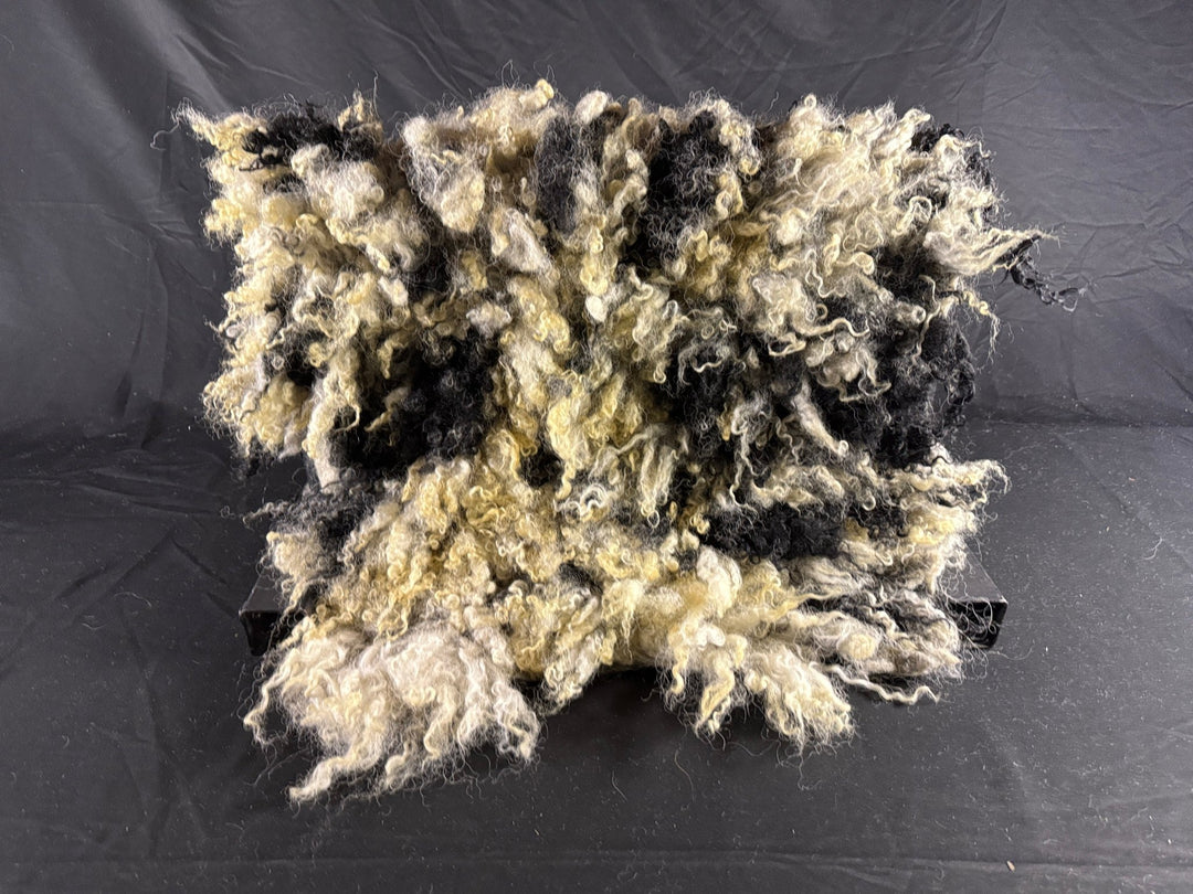 Spotted Felted Fleece Throw (Beatrice) - Heritage Woolworks