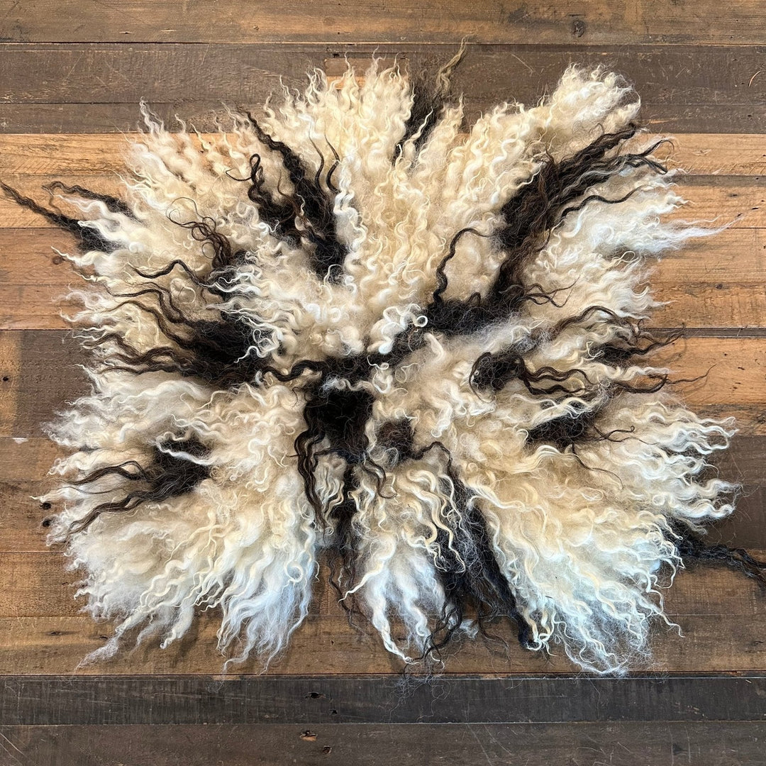 Swiss Valais x Romney Seat Warmer with Unique Black Spots - Heritage Woolworks - rug