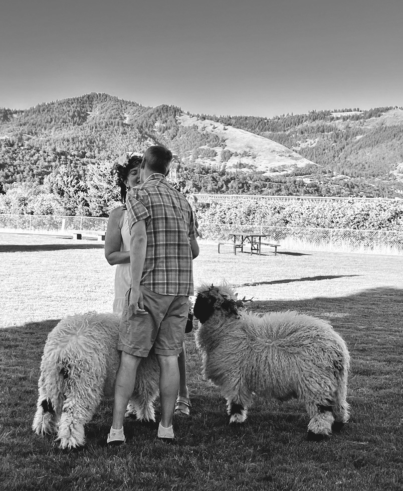Jeri and Ed sharing a quiet moment with two of their Valais Blacknose sheep above the Hood River Valley