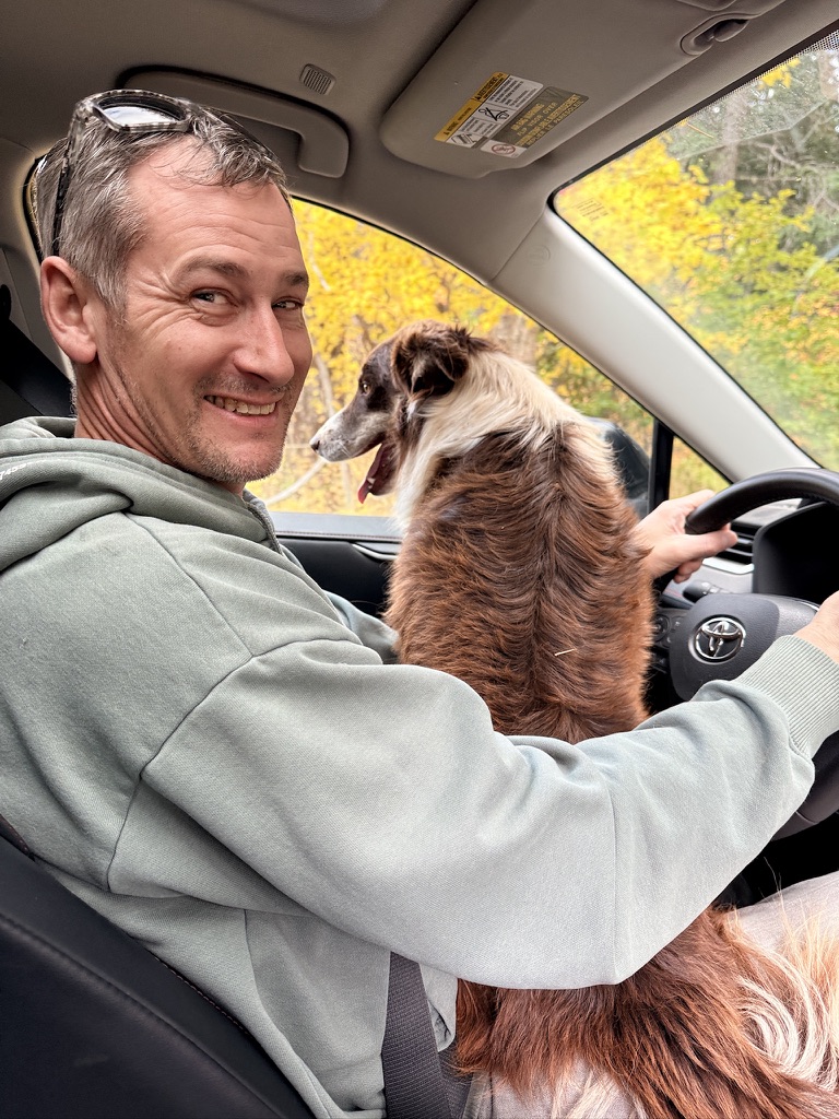 Ed at the wheel with the farm's Australian Shepherd riding alongside him through autumn color