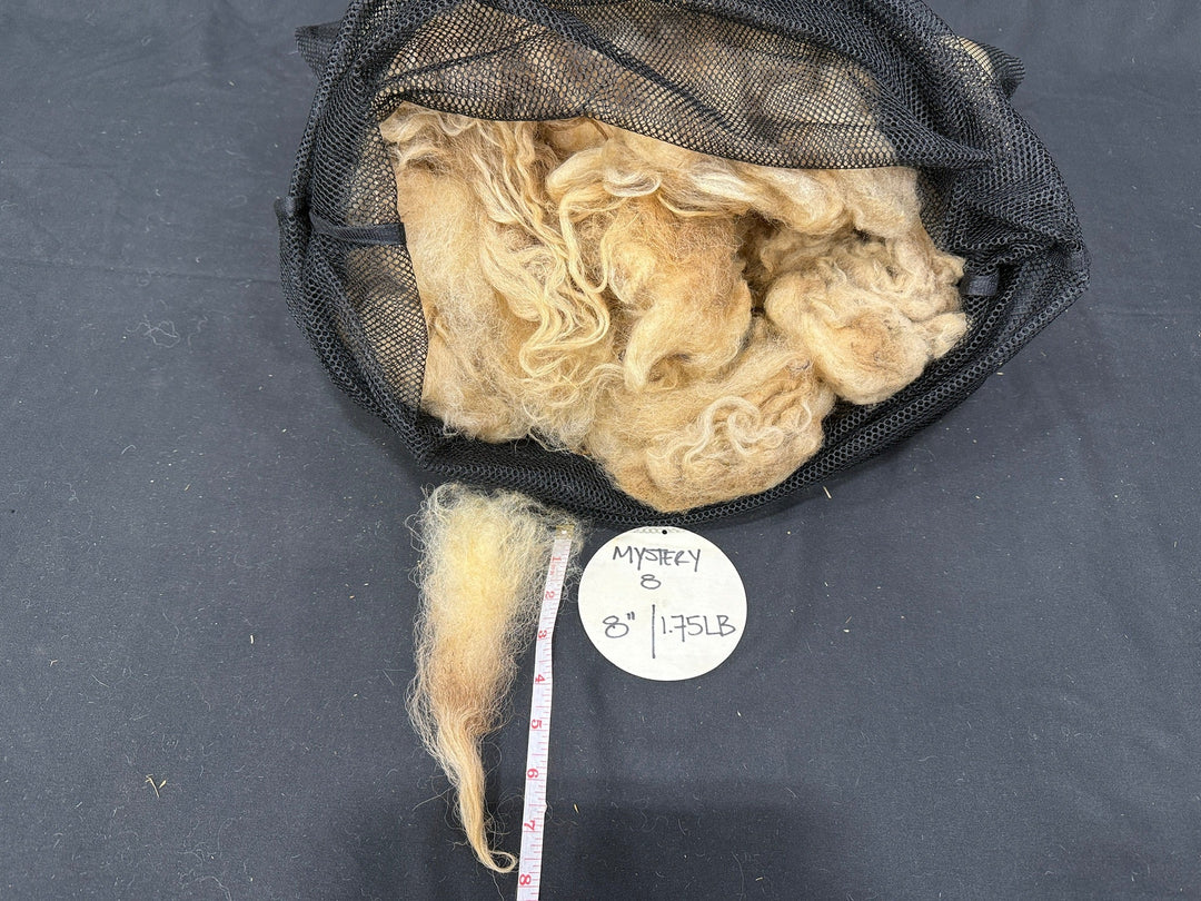 Mystery Wool Fleece – Discounted Full Fleeces - Rancho Relaxo Farm