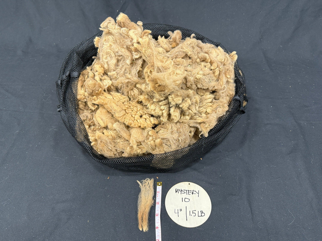 Mystery Wool Fleece – Discounted Full Fleeces - Rancho Relaxo Farm