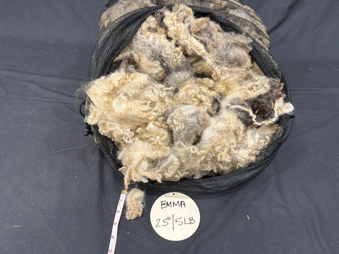 Romney (Badgerface) | Emma - Rancho Relaxo Farm