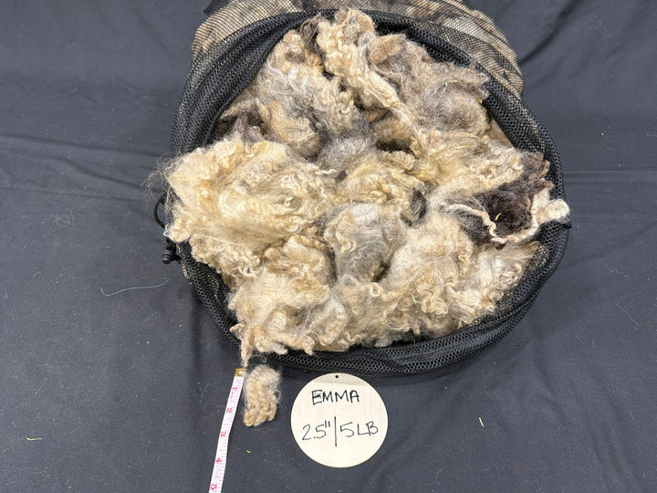 Romney (Badgerface) | Emma - Rancho Relaxo Farm