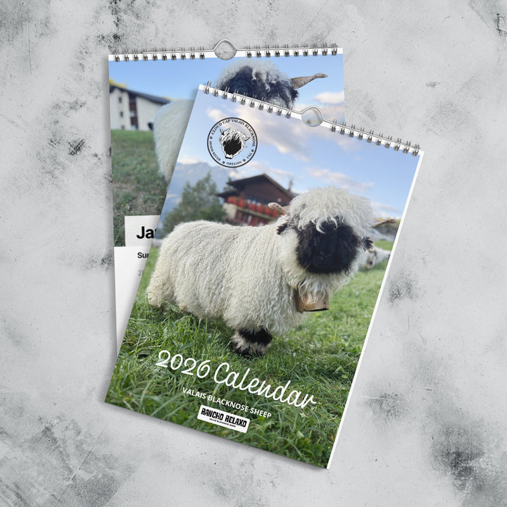Valais Blacknose Wall calendar (2026) - Rancho Relaxo Farm