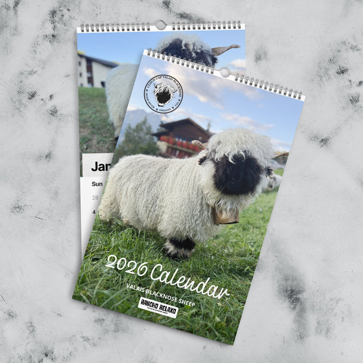 Valais Blacknose Wall calendar (2026) - Rancho Relaxo Farm